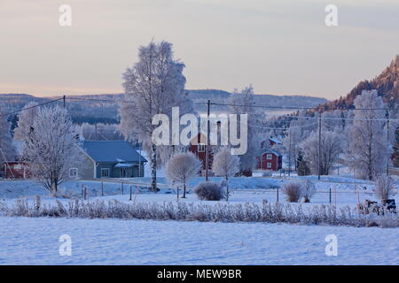 Brina copre gli alberi in una valle nel blu ora. Foto Stock