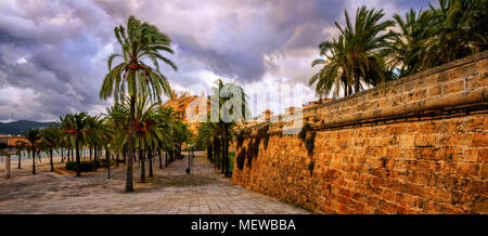 Vista panoramica della struttura Palm Tree garden e La Seu Cathedral in Palma de Mallorca, isola di Maiorca, Spagna, sulla drammatica burrascosa serata Foto Stock