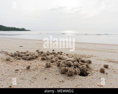 Burrow o foro con sfere di sedimenti o pellet realizzato da sabbia di Ghost o granchio di sabbia con spiaggia, mare e cielo sfondo Foto Stock