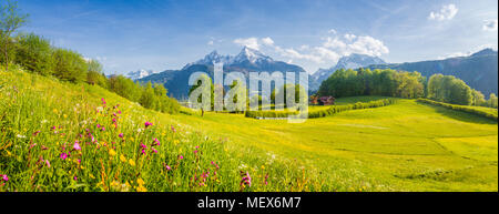 Bella vista della montagna idilliaco paesaggio di montagna con prati in fiore e cime picchi di montagna in una bella giornata di sole con cielo blu in primavera Foto Stock