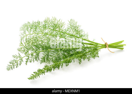 Il finocchio selvatico mazzetto isolati su sfondo bianco Foto Stock