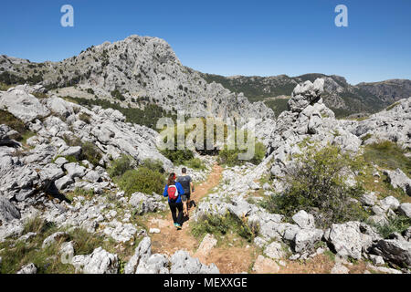 Sentiero attraverso robusto del paesaggio di montagna sopra il villaggio di Grazalema, Sierra de Grazalema parco naturale, Andalusia, Spagna, Europa Foto Stock
