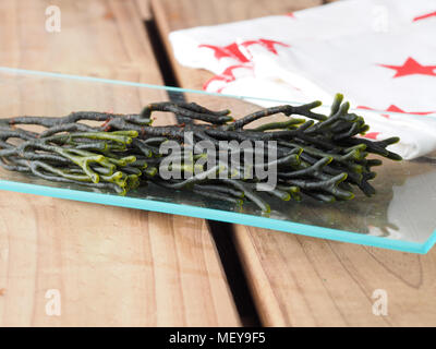 Codium - Corno di Velluto - Spongeweed. Commestibile alga verde nella famiglia Codiaceae. Nome binomiale: Codium tomentosum. Ci sono circa 50 specie worldwi Foto Stock