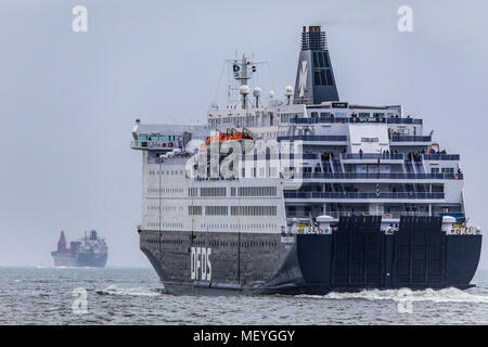 Traghetto Princess Seaways, la spedizione danese DFDS azienda, corre fuori del porto di Ijmuiden, in North Holland, Paesi Bassi, Route Ijmuiden a Newcastle Foto Stock