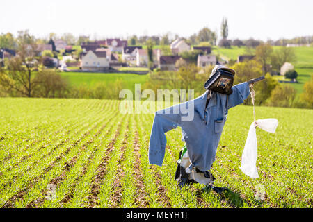 Uno spaventapasseri piantati nel mezzo dei solchi di un recente campo seminato nella campagna francese con le case di un villaggio in background. Foto Stock