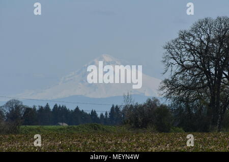 Bellissima vista del Monte Cofano su di una splendida giornata di primavera in Oregon Foto Stock