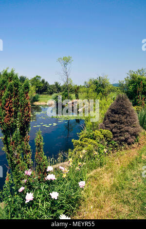 Lotus Pond, New Vrindaban, West Virginia, USA Foto Stock