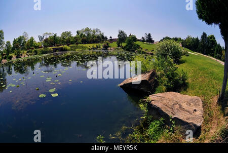 Lotus Pond, New Vrindaban, West Virginia, USA Foto Stock