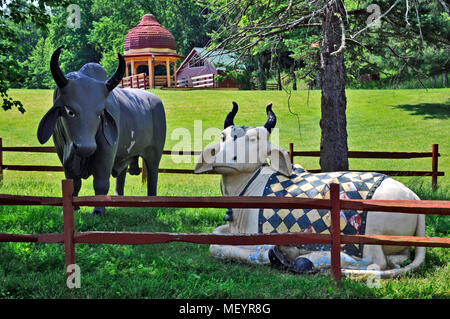 Sculture di vacche sacre a New Vrindaban spirituale, West Virginia, USA Foto Stock