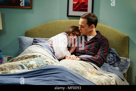 La teoria del big bang Warner Bros serie televisiva 2007> con Mayim Bialik e Jim Parsons Foto Stock