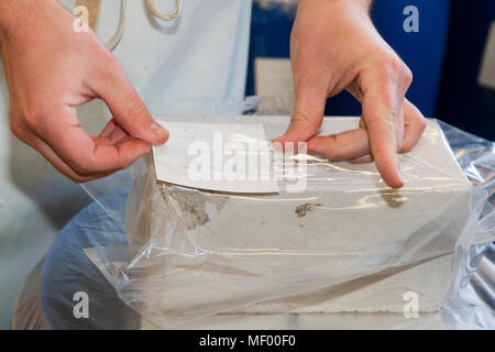 Miso, tradizionale giapponese del condimento, fabbricati in Germania, la produzione artigianale del primo tedesco di Miso realizzati in Blackforest, Germania Foto Stock