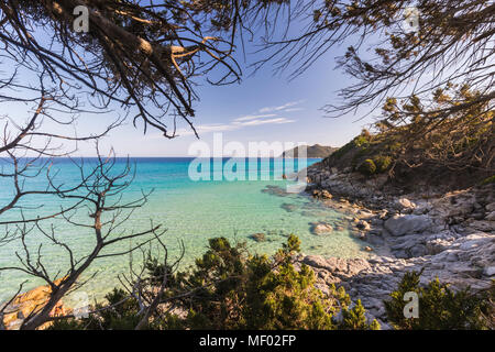 La vegetazione mediterranea incornicia il mare turchese di Cala Monte Turno Castiadas Cagliari Sardegna Italia Europa Foto Stock