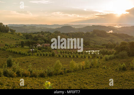 Il paesaggio intorno al villaggio di montagna di Boa Vista do Sul, nello stato di Rio Grande do Sul, Brasile, Sud America Foto Stock