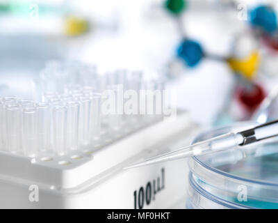 Pipetta seduto su piastra di petri con una scatola di pipette in un laboratorio Foto Stock