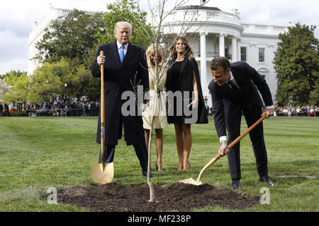 Washington, Distretto di Columbia, Stati Uniti d'America. 23 apr, 2018. Stati Uniti Presidente Donald Trump con la Francia il presidente EMMANUEL MACRON e First Ladies MELANIA TRUMP e BRIGITTE MACRON Pianta un albero, un dono da parte del presidente e la Sig.ra Macron, sul prato Sud della Casa Bianca. Come Macron arriva per la prima visita di stato di Trump assumerà la presidenza, il leader degli Stati Uniti sta minacciando di upend del sistema commerciale mondiale con le tariffe sulla Cina, forse anche in Europa. P: Credito Yuri Gripas/CNP/Piscina/ZUMA filo/Alamy Live News Foto Stock