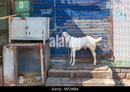 Mumbai, Maharashtra, India Foto Stock