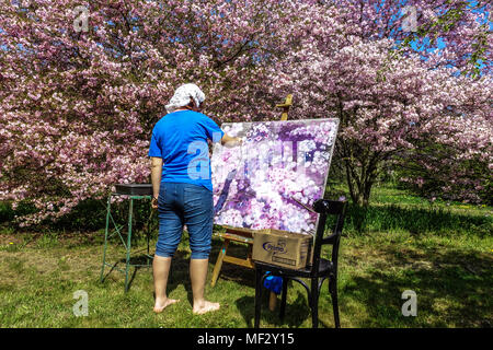Una donna di dipingere un quadro dei ciliegi in fiore in un giardino Foto Stock