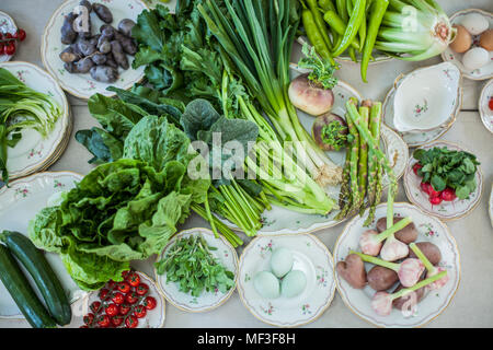 Assortimento di verdure e uova su piastre Foto Stock