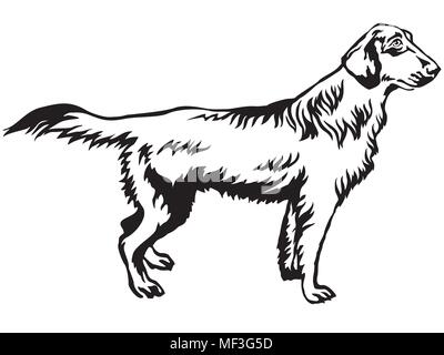 Ritratto decorativo di standing in profilo Flat-Coated Retriever, vettore isolato illustrazione in colore nero su sfondo bianco Illustrazione Vettoriale