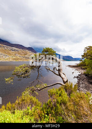 Regno Unito, Scozia, Highland, Loch Maree, lago d'acqua dolce Foto Stock