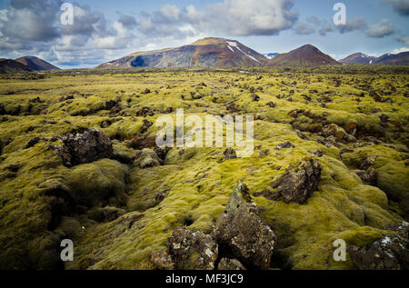 In Islanda, a sud di Islanda, moss cresciuto con la roccia vulcanica Foto Stock
