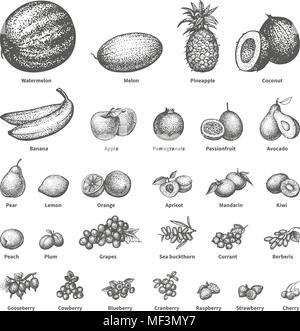 Schizzo doodle disegnati a mano frutta set Illustrazione Vettoriale