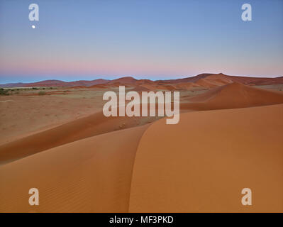 Africa, Namibia, Namib-Naukluft National Park, Namib Desert, dune del deserto e di post-incandescenza Foto Stock