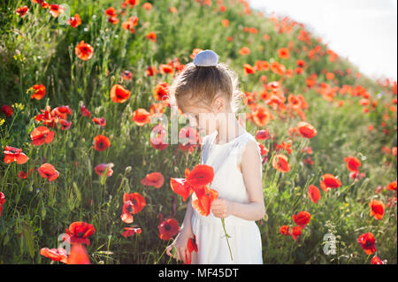 Graziosa bambina in abito bianco raccoglie papaveri arancione su blossom hill in estate Foto Stock