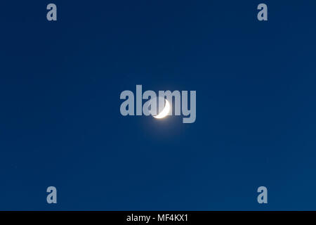 Luna - Ceretta Crescent e luce grigia contro blu cielo stellato sfondo Foto Stock