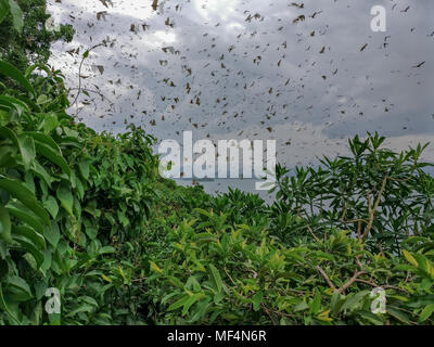 Il lago Kivu, Ruanda (Africa) Foto Stock