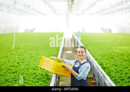 Ritratto di giovane attraente Caucasian woman standing in industriali di grandi dimensioni con effetto serra appena raccolto la lattuga e sorridente in telecamera Foto Stock