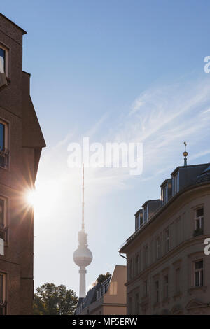 Germania, Berlino, vista la torre della televisione a retroilluminazione Foto Stock