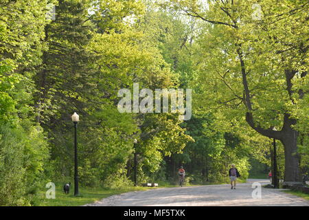 Spot- Parc du Mont-Royal Foto Stock