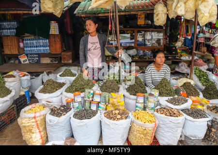 3 aprile 2017 - Kyaing Tong, Myanmar. Le donne la vendita di erbe aromatiche, tè e radici nel mercato Foto Stock