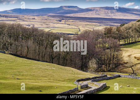 Tipico Yorkshire Dales paesaggi con dolci colline e un paese Foto Stock