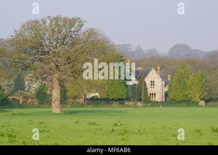 Devon Country House, vibranti pascolo verde inglese e Quercia. Powderham, Exeter, Devon, Regno Unito. Aprile, 2018. Foto Stock