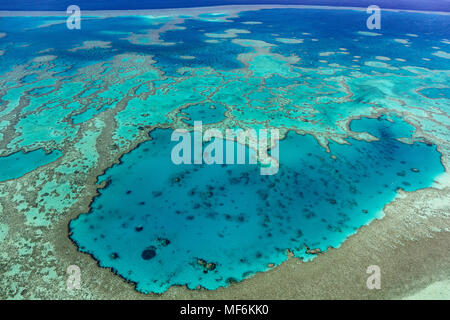 Strutture in Coral Reef, la Grande Barriera Corallina, Queensland, Australia Foto Stock