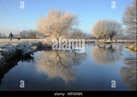 Walker con cane oltre coperto di brina sulle rive dei fiumi con trasformata per forte gradiente di brina sui salici accanto al fiume Stour, Essex e Suffolk border, Constable Country, betwee Foto Stock