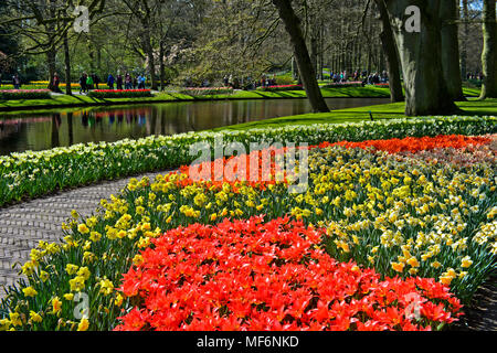 Giardini Keukenhof Lisse, Paesi Bassi Foto Stock