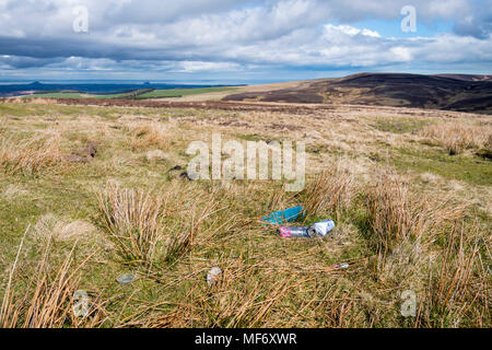 Rifiuti scaricati in un luogo di bellezza, Scottish Borders, Scozia Foto Stock