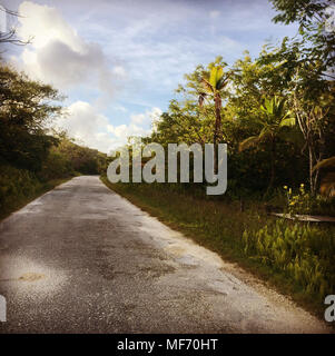 Niue, South Pacific 2017. Foto Stock