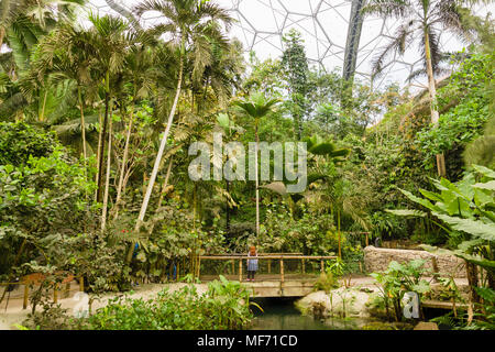 Progetto Eden rainforest biome con una giovane ragazza in piedi su un ponte osservando la maestosità della foresta pluviale presentano. Foto Stock