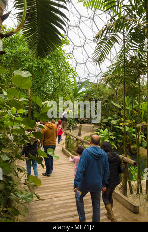 Progetto Eden rainforest biome con famiglie e visitatori di camminare attraverso la foresta pluviale presentano. Foto Stock