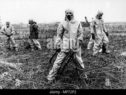 Seveso, disastro ecologico dopo l esplosione chimica impianto, 1976 Foto Stock