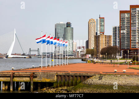 Lo skyline di Rotterdam, sul Nieuwe Maas, sul Fiume Ponte Erasmus, grattacieli sulla "Kop van Zuid' distretto, Paesi Bassi, di fronte al parco in Foto Stock