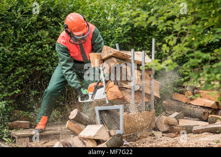 Uomo che indossa indumenti protettivi segatura di legno con sega a motore Foto Stock