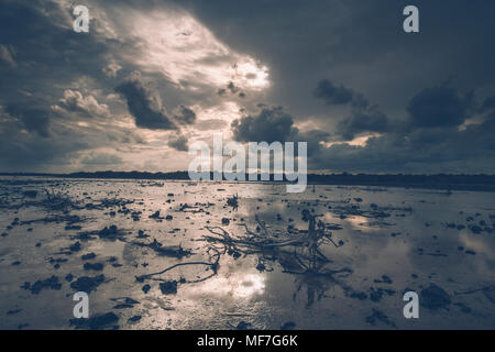 Cuba, Bahia de Malagueta, bassa marea in spiaggia Foto Stock