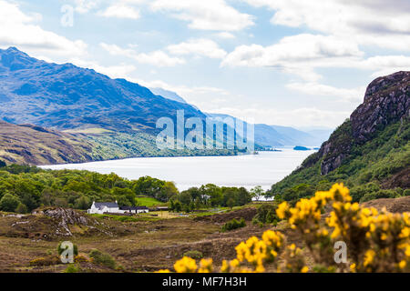 Regno Unito, Scozia, Highland, Loch Maree, lago d'acqua dolce, agriturismo Foto Stock