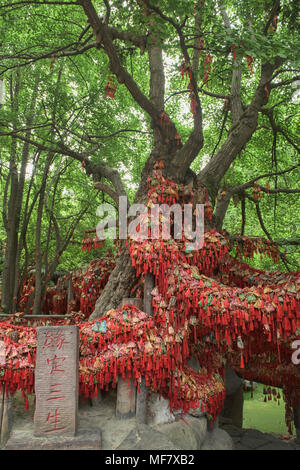 Buona fortuna desiderio sacchi appesi a Jinli antica strada, Chengdu Sichuan, Cina Foto Stock
