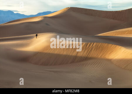 Mesquite Flat dune di sabbia e un escursionista, Parco Nazionale della Valle della Morte, California, Stati Uniti, in serata. Foto Stock